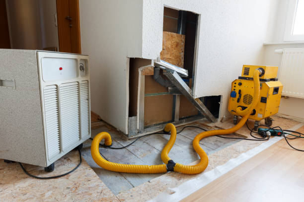 Mold Removal for HVAC Installations in Mcmurray, PA